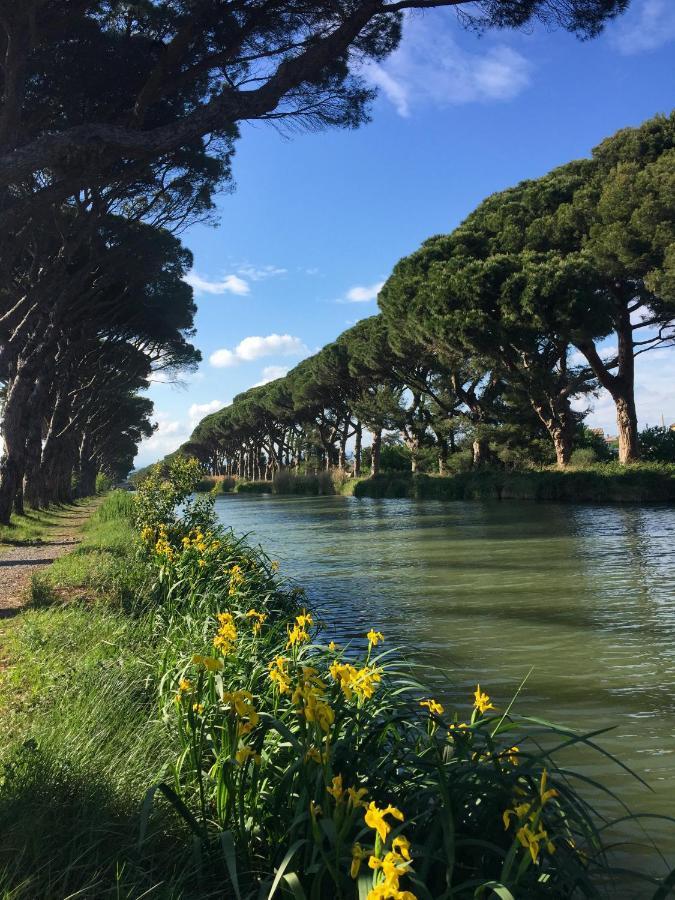 La Passerelle Du Canal Salleles-d'Aude Exterior photo